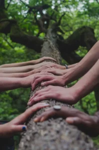 Nature: the Fourth Pillar of the WHM?